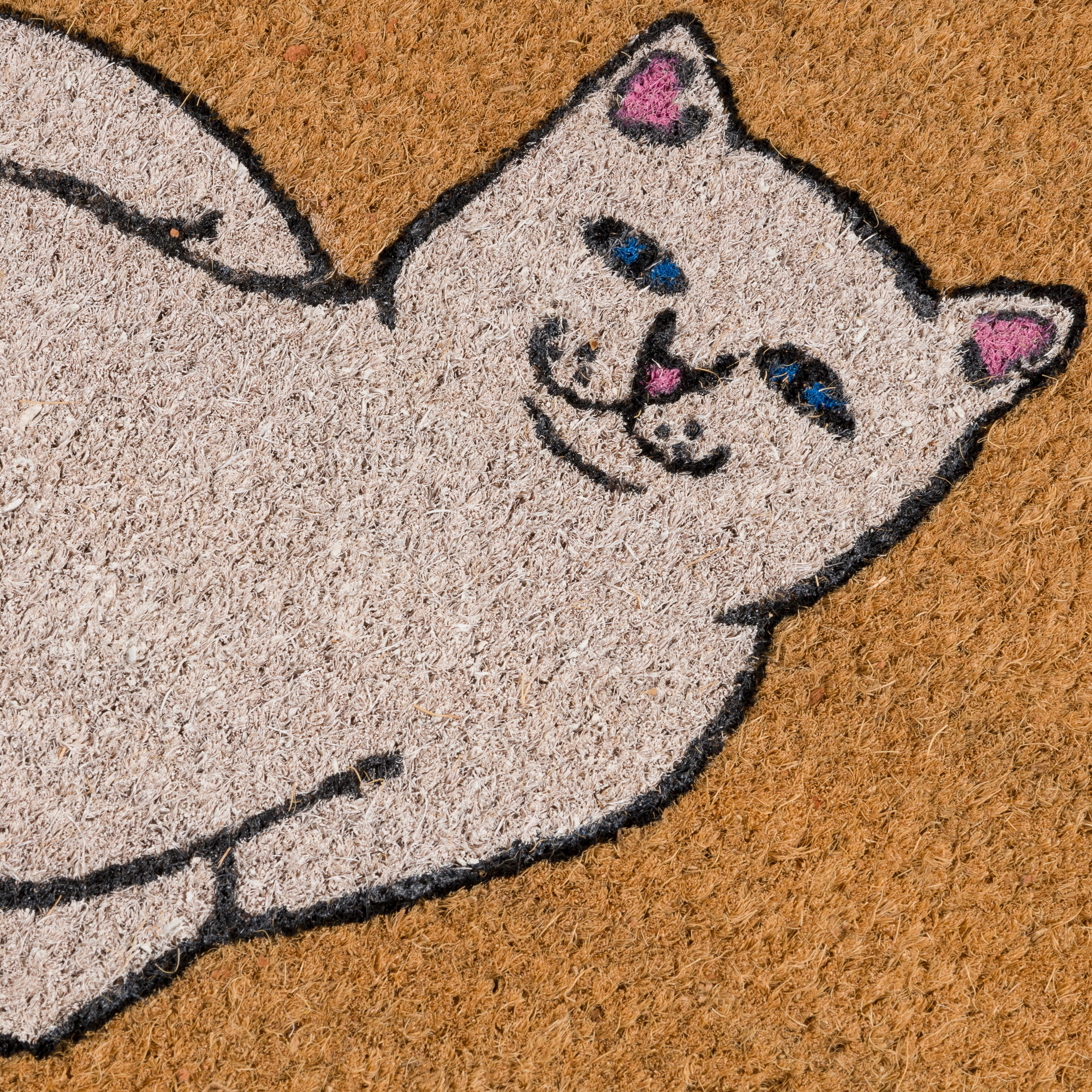 WALK DOOR MAT ( TAN )