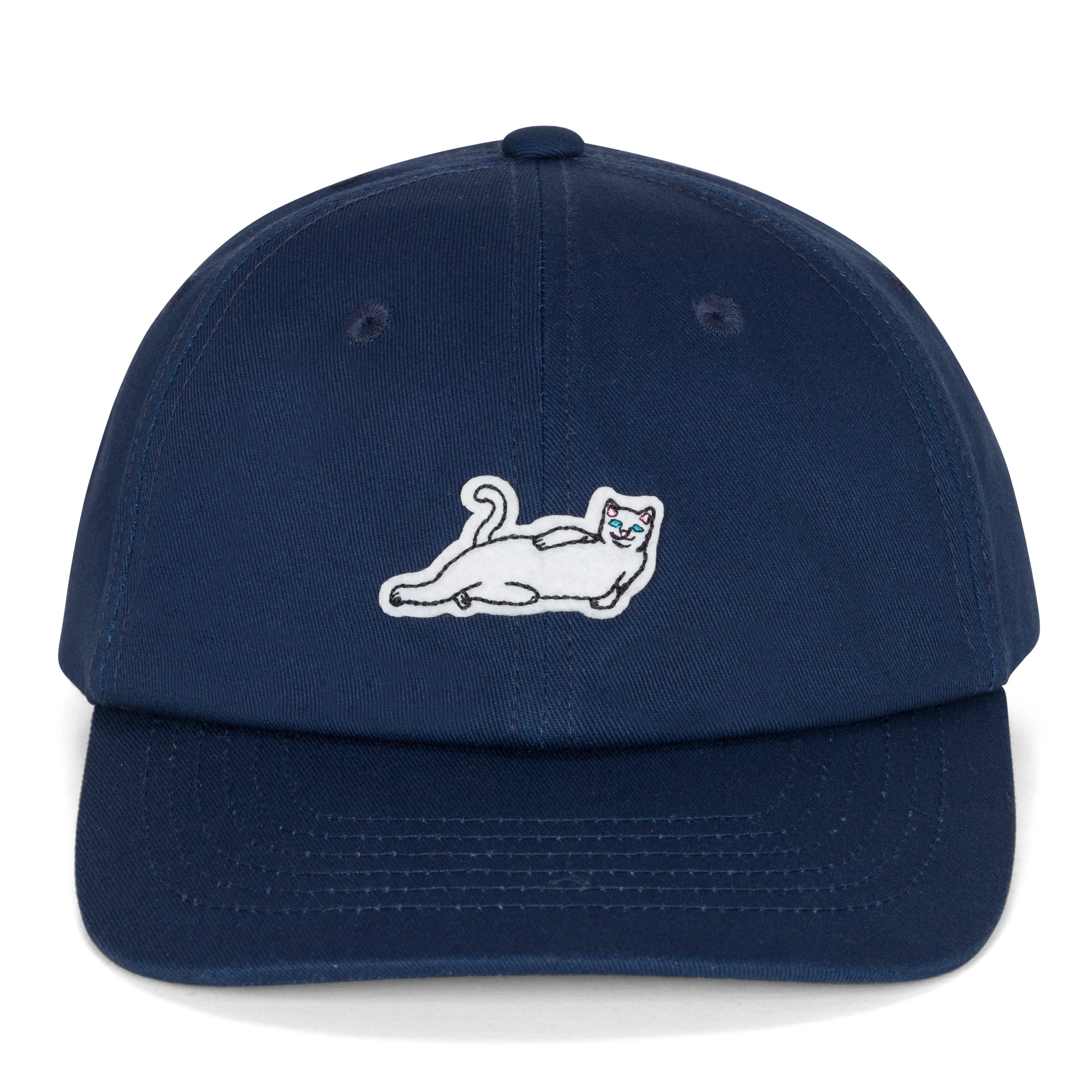 CATSTANZA DAD HAT ( NAVY )