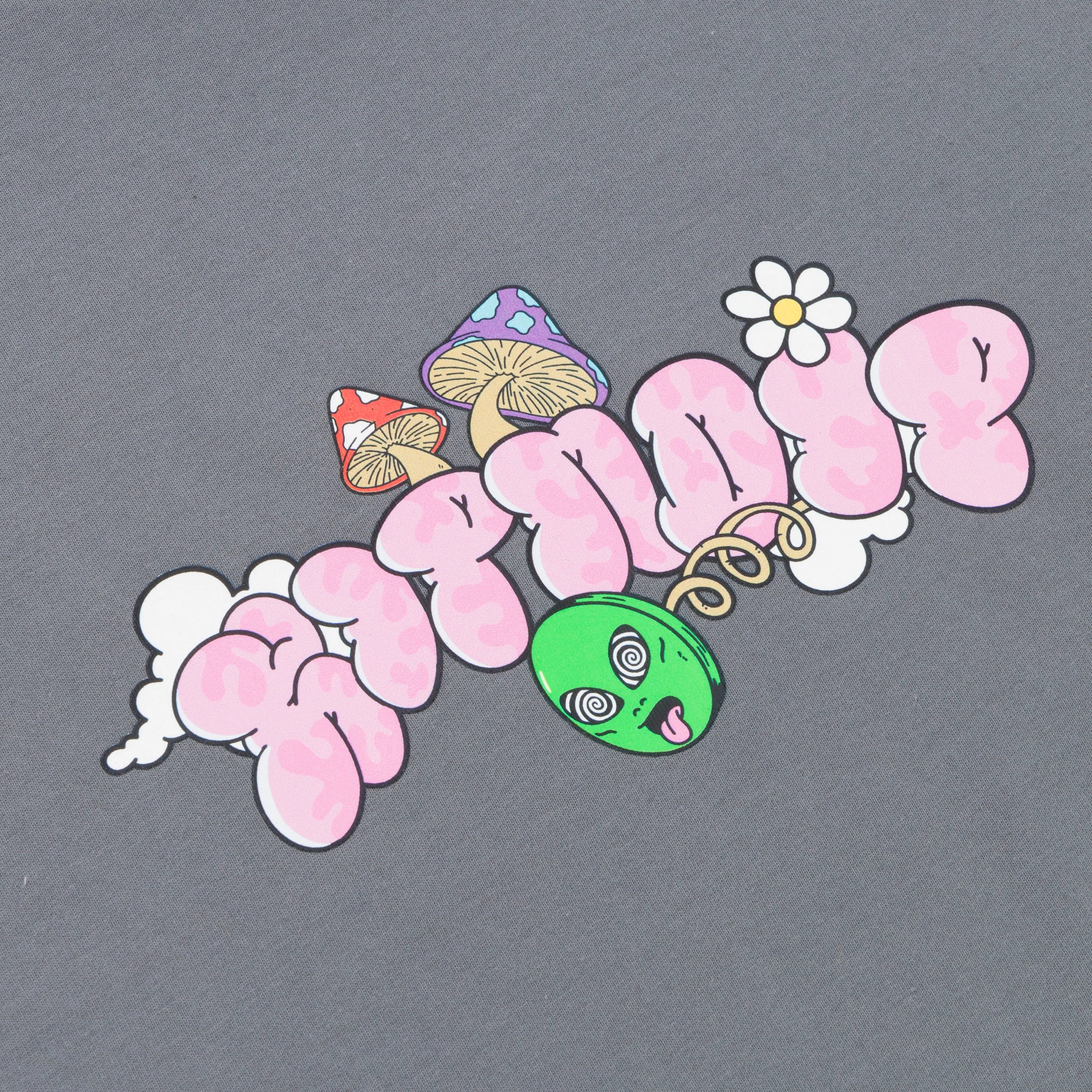 LOST MINDS TEE ( CHARCOAL )