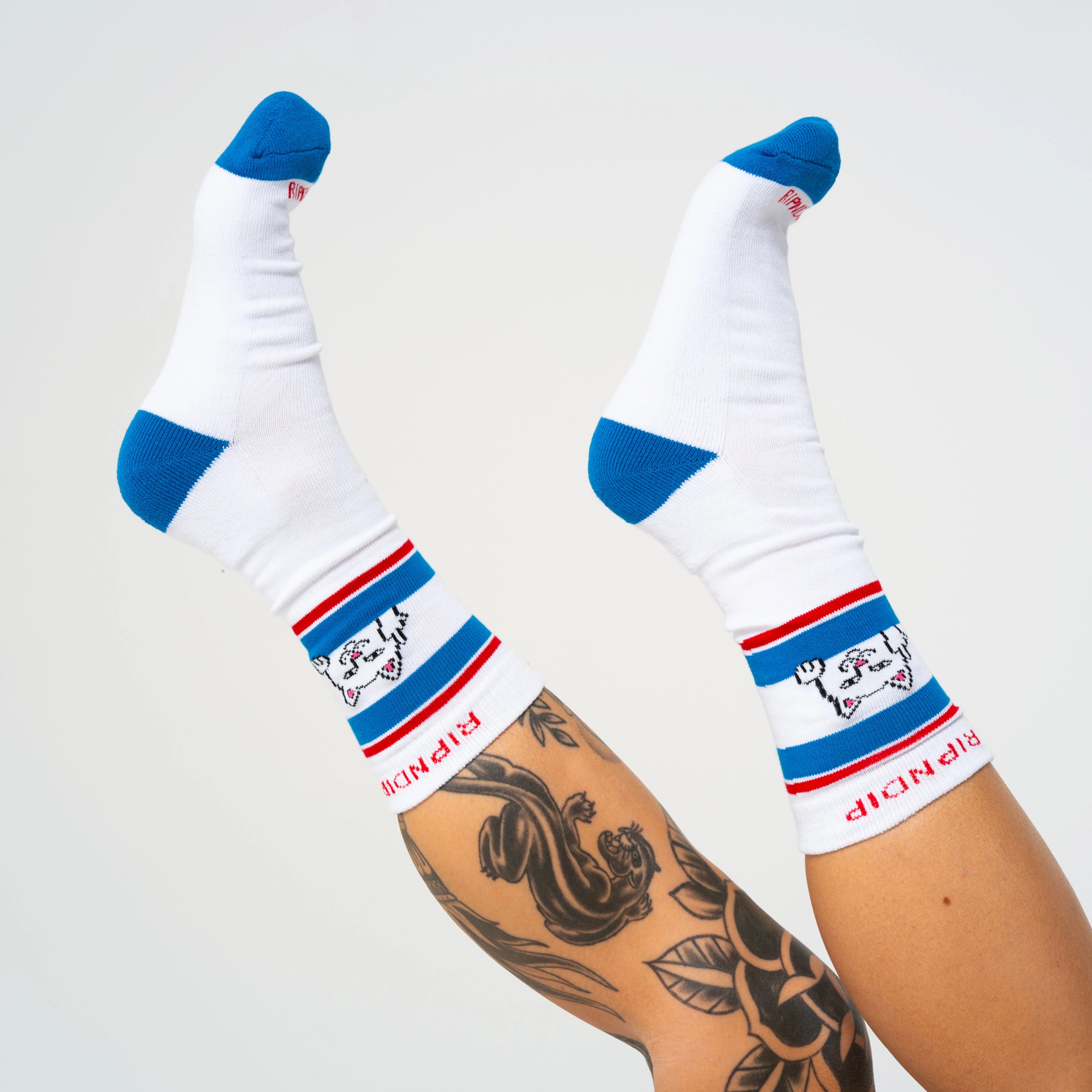PEEKING NERMAL SOCKS ( WHITE / BLUE )