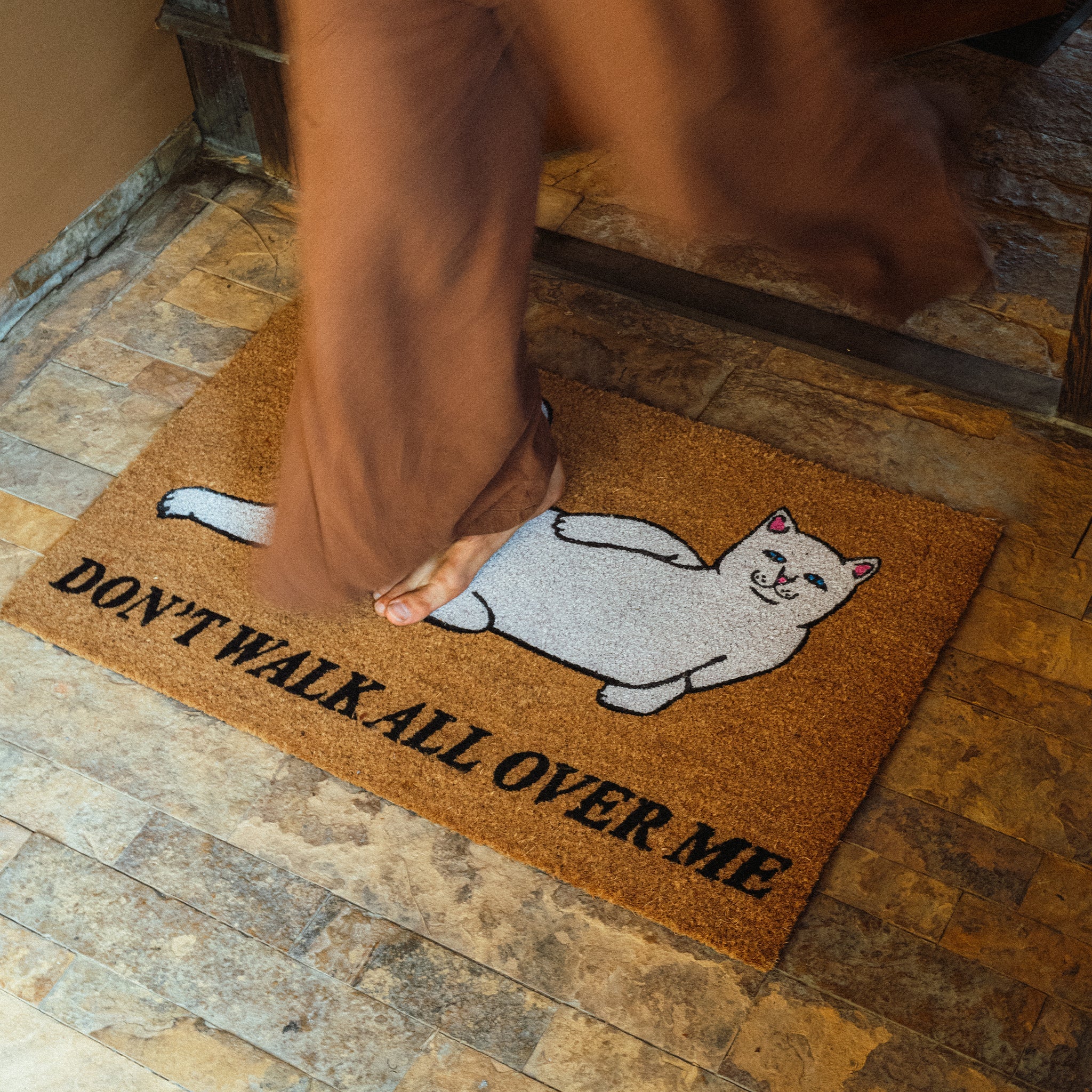 WALK DOOR MAT ( TAN )