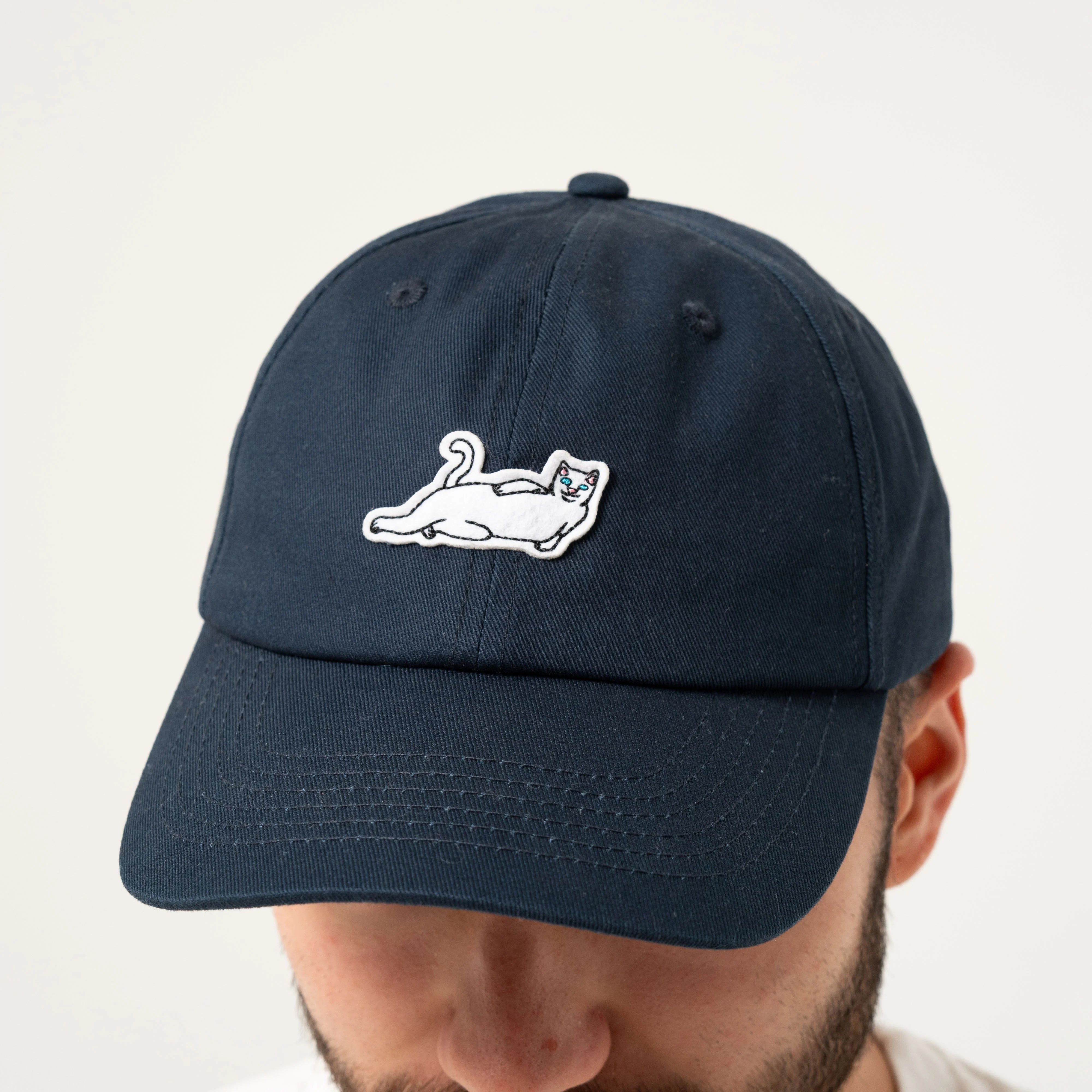 CATSTANZA DAD HAT ( NAVY )